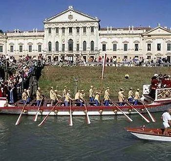 Dori Venise